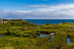 kruse_lofoten-a-2017_144