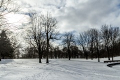 PARC DU MONT ROYAL (kruse_mtl-schnee_2016_069)