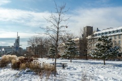 IM HAFEN VON MONTREAL (kruse_mtl-schnee_2016_163)