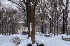 PARC LA FONTAINE (kruse_mtl-schnee_2016_170)