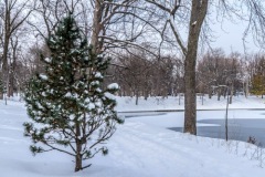 PARC LA FONTAINE (kruse_mtl-schnee_2016_178)