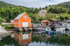 QUIDI VIDI (kruse_stjohns-2019_02)