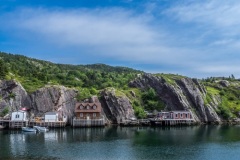 QUIDI VIDI (kruse_stjohns-2019_11)