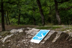 kruse_wispertalsteig-2020_076